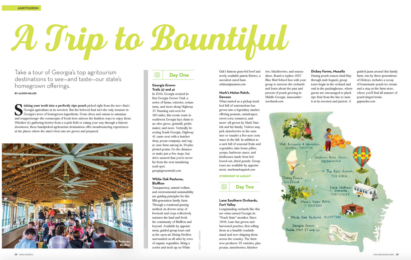 Screen Shot 2019-02-12 at 11.08.57 AM